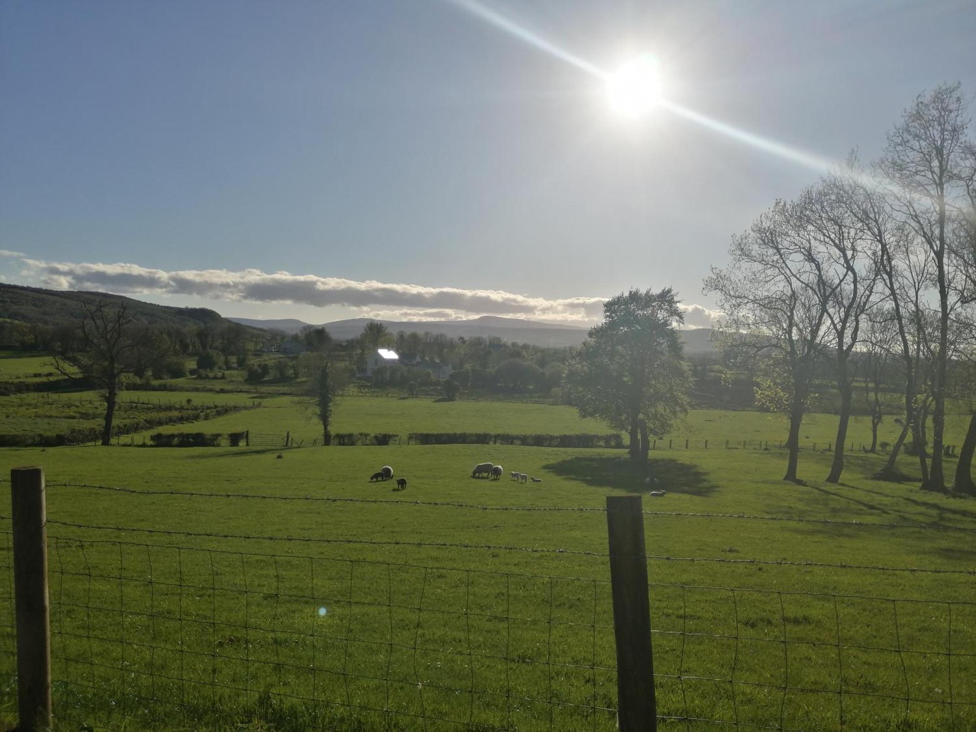 Knockninny Barn At Upper Lough Erne, County Fermanagh エニスキリン エクステリア 写真